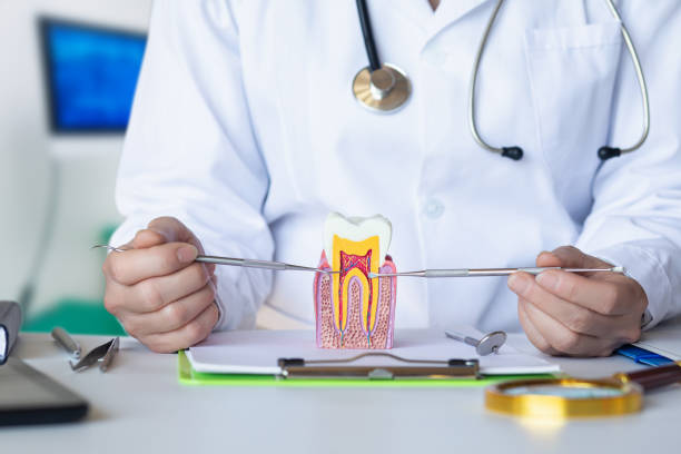 Best Weekend Emergency Dental Services in Briarcliff, TX